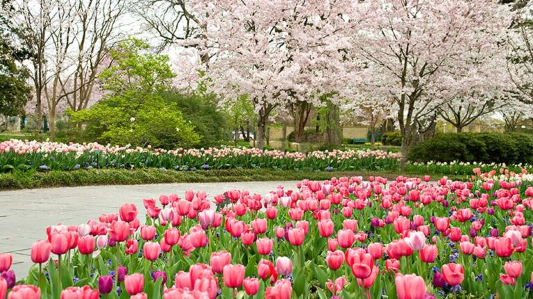 Free Dallas Arboretum Tickets for Dallas residents