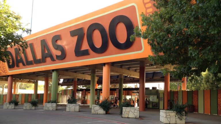 Dallas Zoo $1 Dollar Days (2026)
