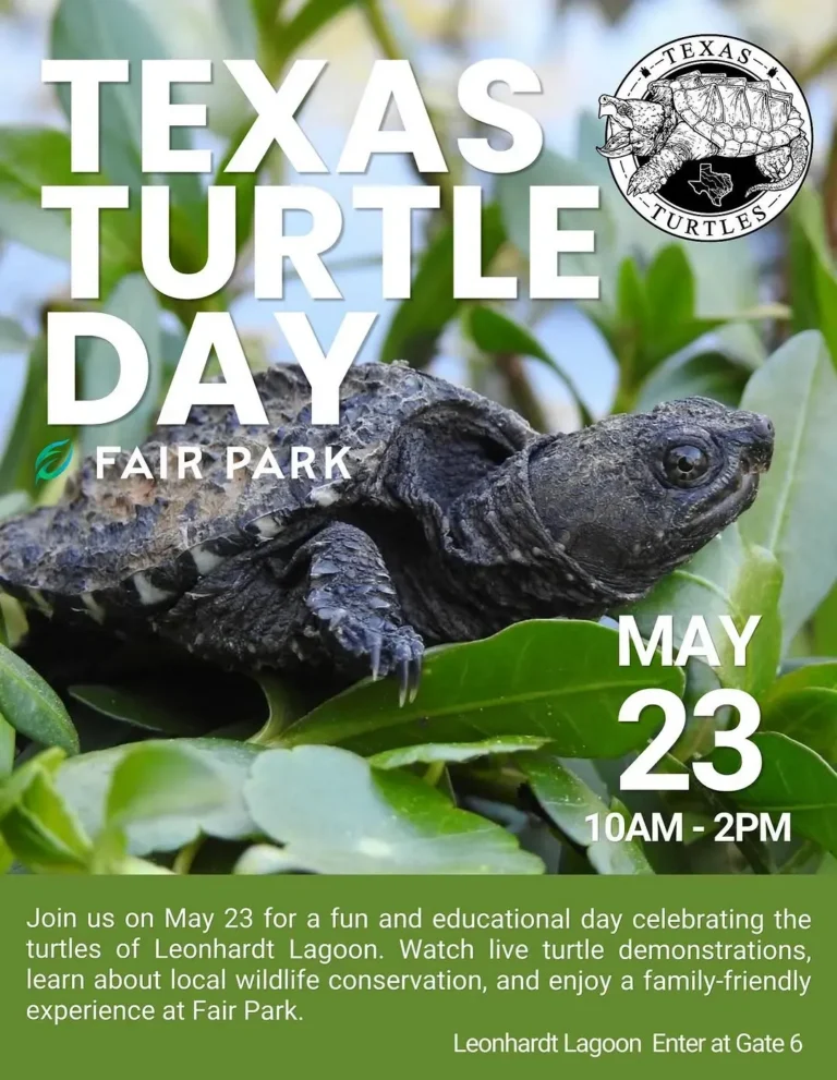 World Turtle Day at Fair Park